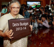 delhi-budget-2013-14