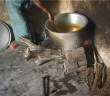 kanpur mid-day meal