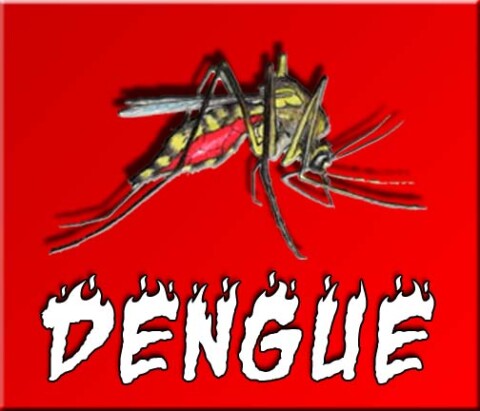 dengu